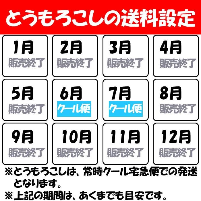 【雹害から勝ち抜いた味来】味来(みらい)A品 2Lサイズ 13本 約4kg【産地直送 朝もぎのとうもろこし 6月〜7月 同梱不可 送料無料 クール宅急便】|genkioukoku|11