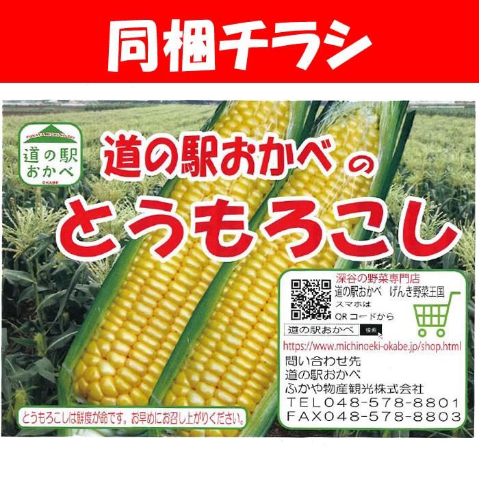 【雹害から勝ち抜いた味来】味来(みらい)A品 2Lサイズ 13本 約4kg【産地直送 朝もぎのとうもろこし 6月〜7月 同梱不可 送料無料 クール宅急便】|genkioukoku|06