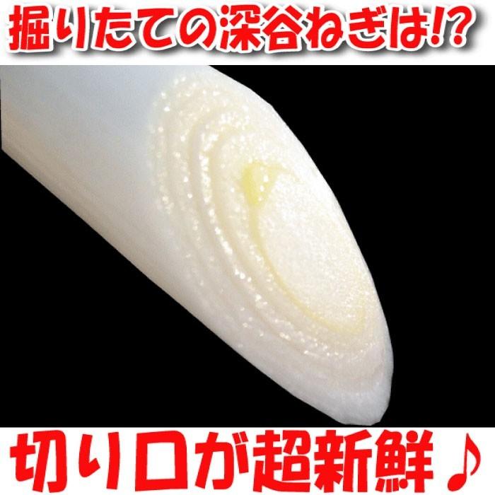 土付き深谷ねぎ4Kgセット 無選別 【埼玉県深谷市産 送料無料 土付き深谷ねぎ4Kgセット 無選別 【埼玉県深谷市産 送料無料