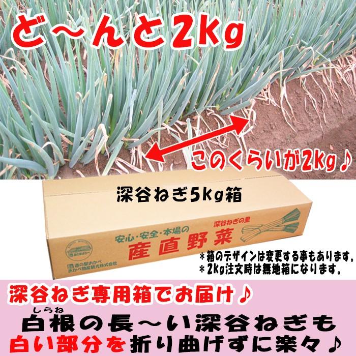 土付き深谷ねぎ2Kgセット 無選別 【埼玉県深谷市産 条件付き送料無料