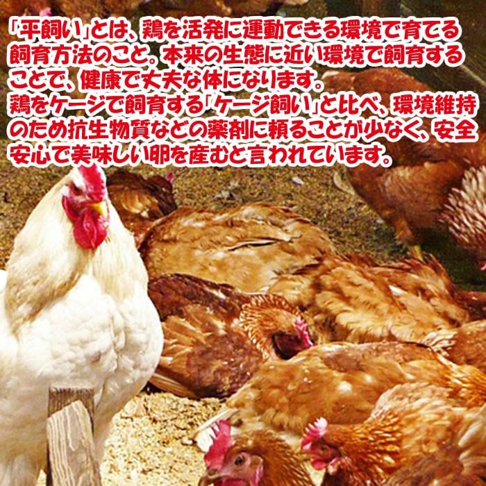 ヤマギシの平飼い有精卵 約15個入り【送料別 ヤマギシズム生活 榛名実