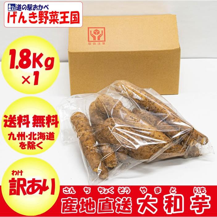 ヤマトイモ 1.8Kg B品 訳あり 【条件付き送料無料】【山芋】｜genkioukoku