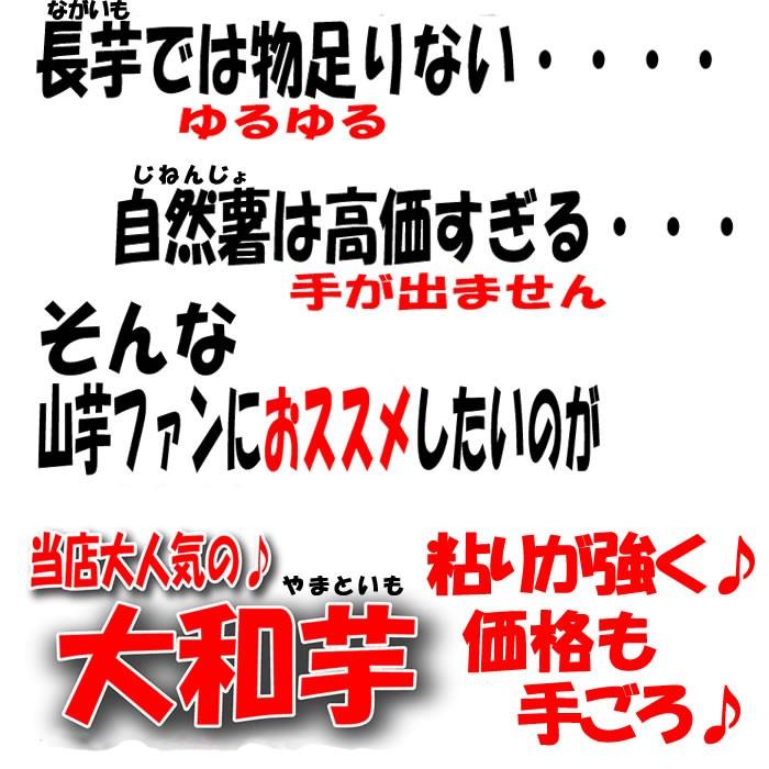 ヤマトイモ 3.6Kg B品 訳あり【送料無料】【山芋】｜genkioukoku｜03