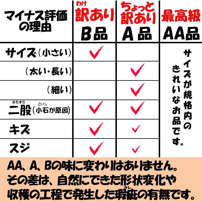 ヤマトイモ 3.6Kg B品 訳あり【送料無料】【山芋】｜genkioukoku｜09