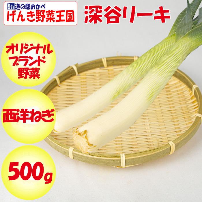 深谷リーキ 500g 冬季限定 季節野菜 12月 2月 六次産業協同組合 送料別 道の駅おかべ げんき野菜王国 通販 Yahoo ショッピング