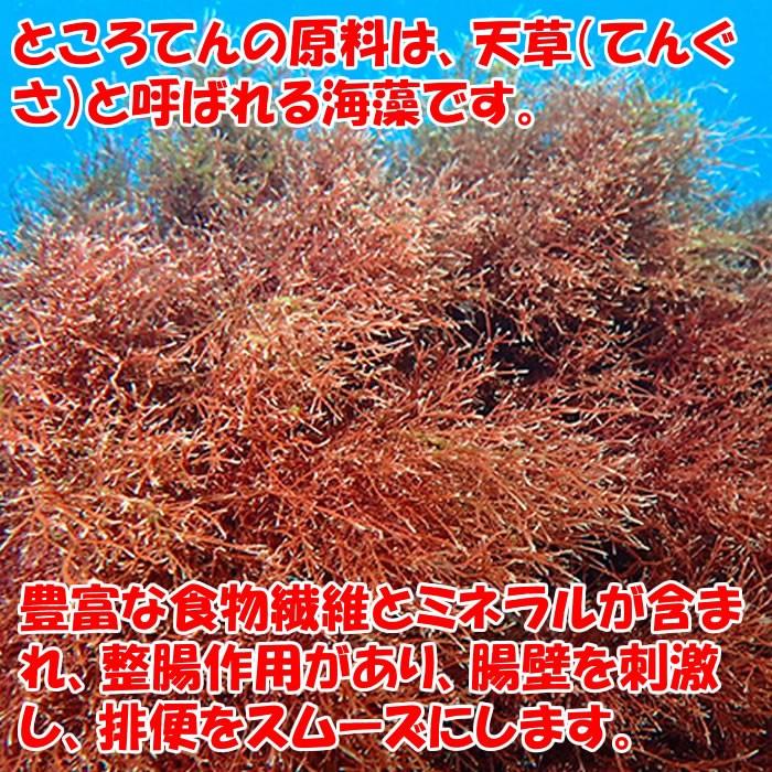 生ところてん 天草100% 850g 14本入り【協和食品工業（埼玉県深谷市