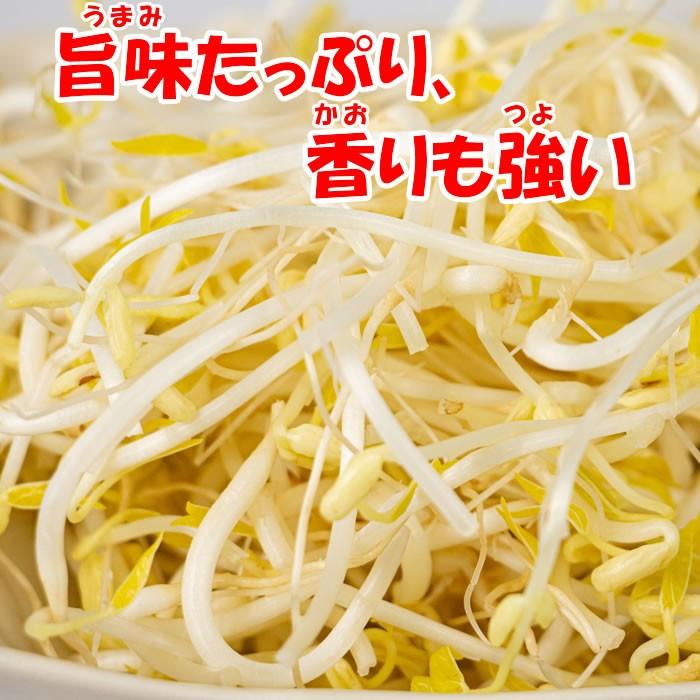深谷もやし 1050g（350g x 3パック） 闘うもやし【販売者：飯塚商店