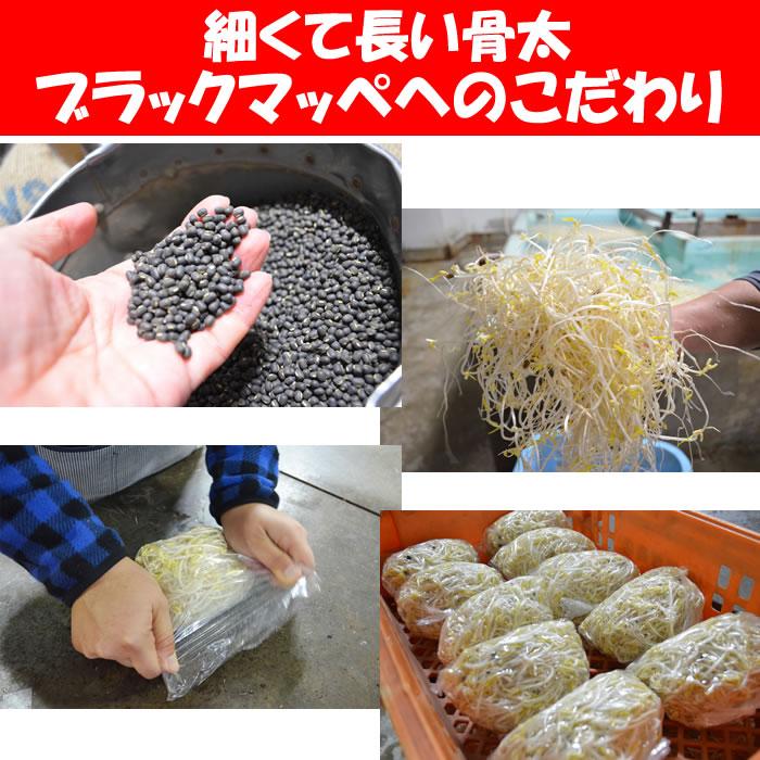 深谷もやし 1050g（350g x 3パック） 闘うもやし【販売者：飯塚商店