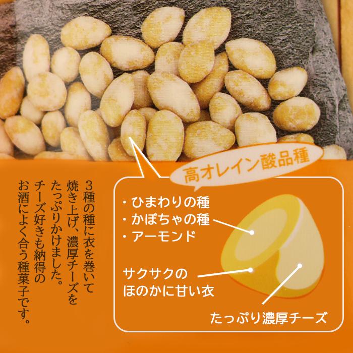 チーズを纏った大人の種菓子 70g 東海農産【静岡県静岡市 送料別】【BS