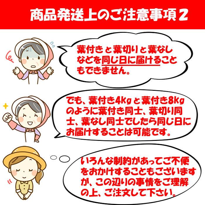 赤城おろし 葉なし干し大根 4Kg たくあん用大根・ぬか無し【送料別 同梱不可】｜genkioukoku｜15