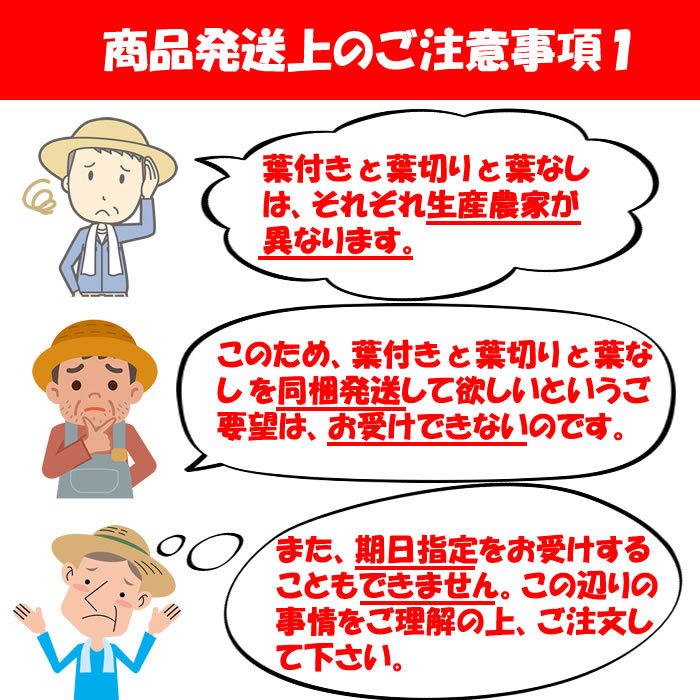 赤城おろし 葉切り干し大根 8Kg たくあん用大根・秘伝のぬか付き【送料別 同梱不可】｜genkioukoku｜15