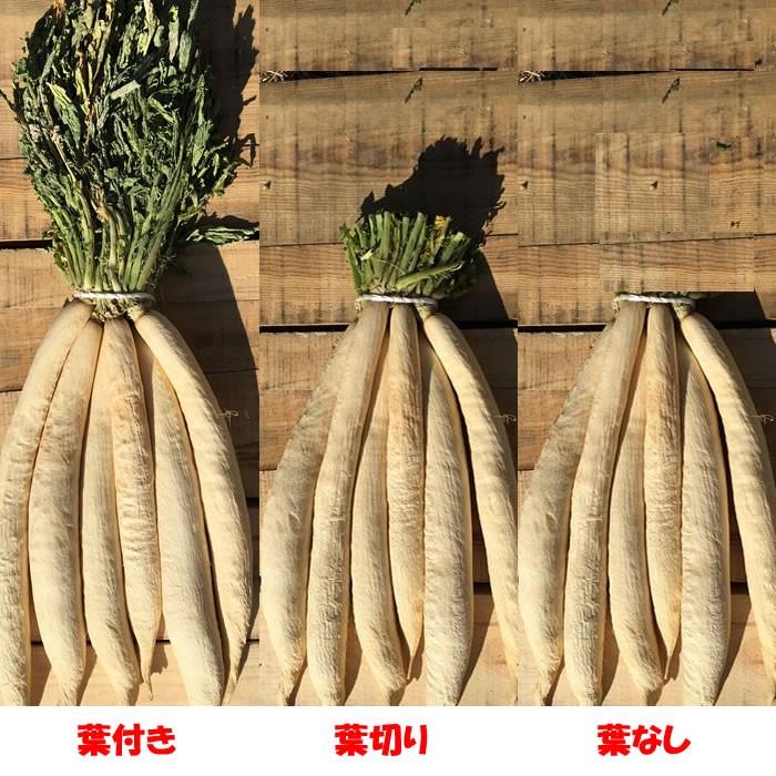 赤城おろし 葉切り干し大根 8Kg たくあん用大根・秘伝のぬか付き【送料別 同梱不可】｜genkioukoku｜06