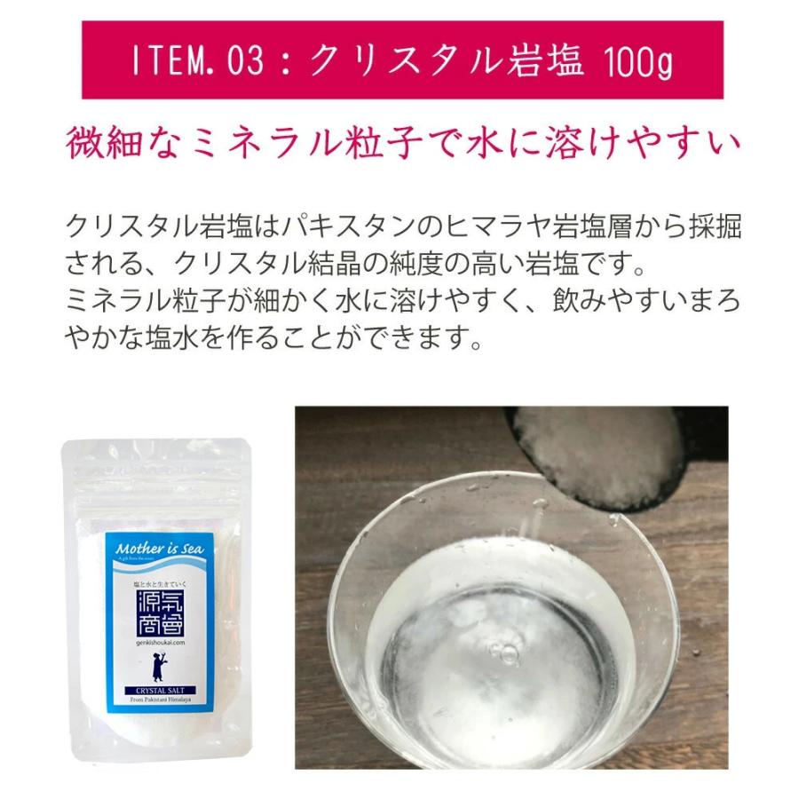 源気商會 すぐに始められる 塩のすすめ 参考本 クリスタル岩塩 1gさじ