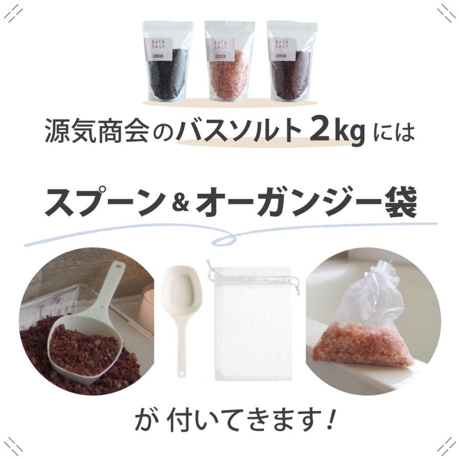 源気商會 源気商会のバスソルトBLACK ヒマラヤ岩塩 ブラック バス