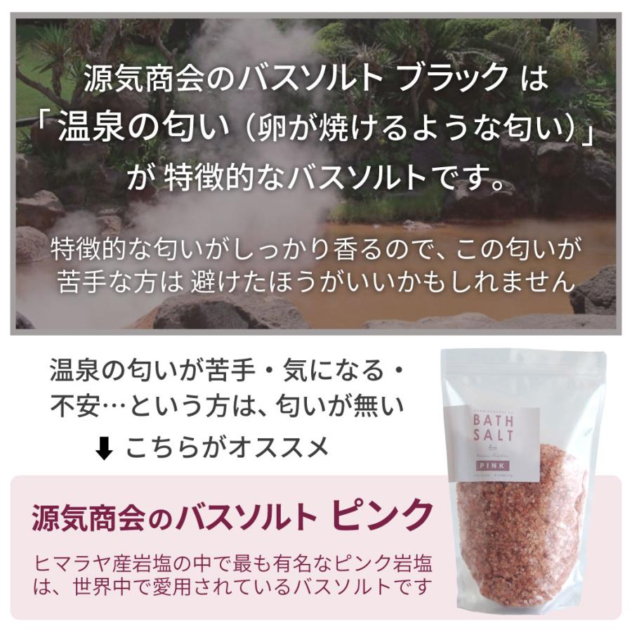 源気商會 源気商会のバスソルトBLACK ヒマラヤ岩塩 ブラック バス