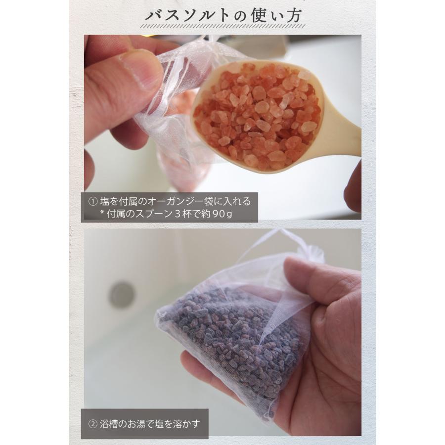 源気商會 源気商会のバスソルトBLACK ヒマラヤ岩塩 ブラック バス