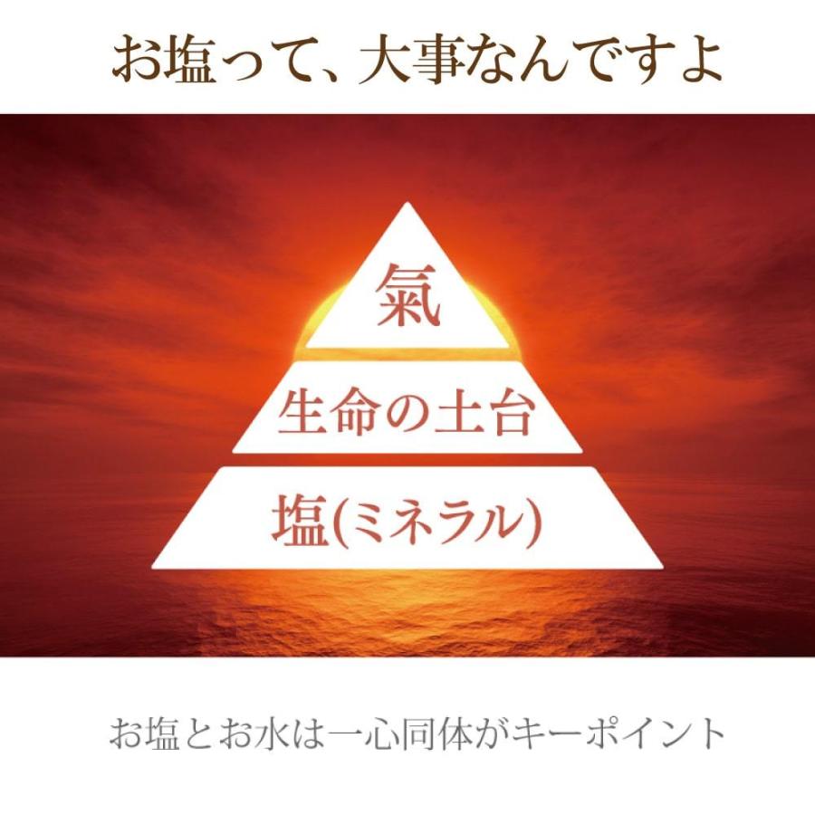 源気商會 岩塩 ヒマラヤ岩塩 クリスタル岩塩 パウダータイプ 10kg 1kg