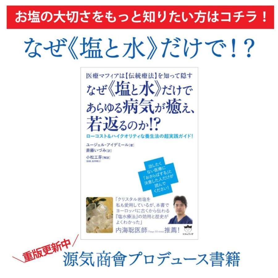 源気商會 岩塩 ヒマラヤ岩塩 クリスタル岩塩 パウダータイプ 10kg 1kg