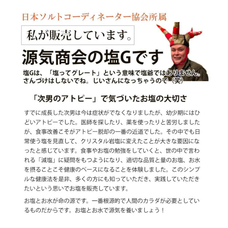 源気商會 岩塩 ヒマラヤ岩塩 クリスタル岩塩 パウダータイプ 10kg 1kg