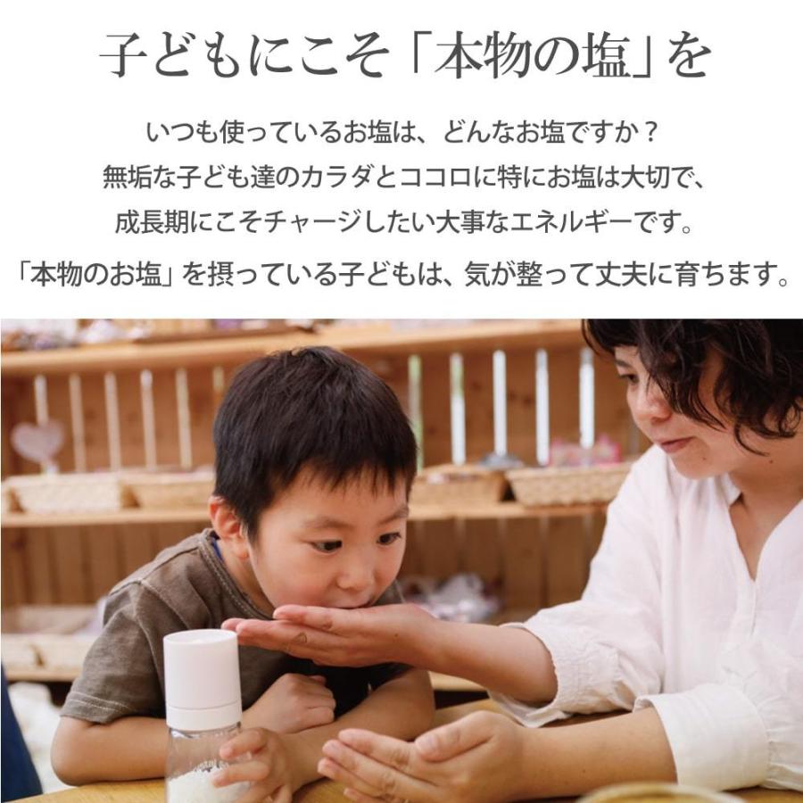 源気商會 岩塩 ヒマラヤ岩塩 クリスタル岩塩 パウダータイプ 10kg 1kg