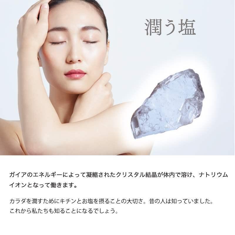 源気商會 岩塩 ヒマラヤ岩塩 クリスタル岩塩 パウダータイプ 10kg 1kg