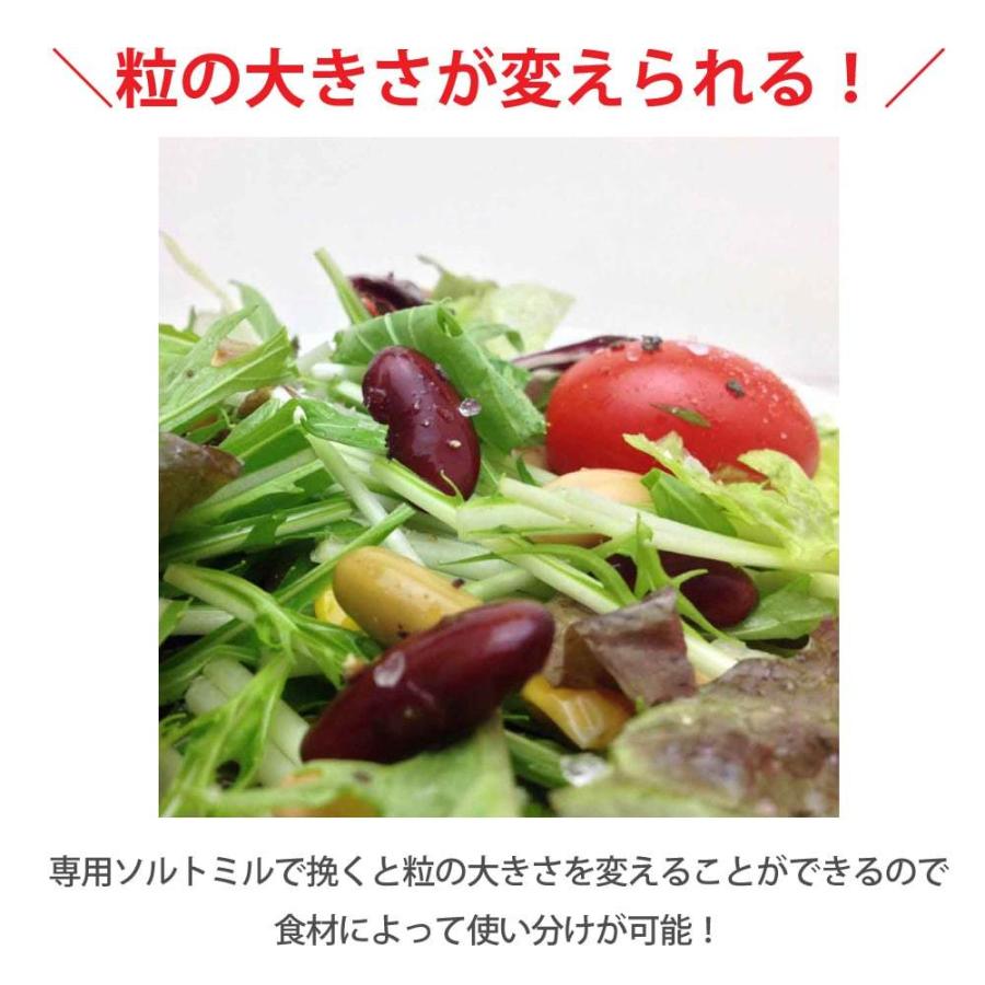 源気商会 クリスタル岩塩 250gx3個セット 750g クリスタルソルト ヒマラヤ岩塩 ヒマラヤ産 ミルタイプ 天然塩 岩塩 自然塩 食用 70 Off ヒマラヤ岩塩