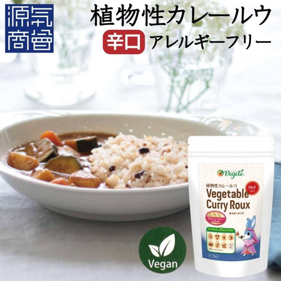 辛口 植物性カレールー ベジテ Vegete Spicy 辛口 140g カレー粉 グルテンフリー 小麦粉不使用 無添加 動物性脂肪ゼロ アレルギー ビーガン ヴィーガン Haralspicy こだわりの塩専門店 源気商会 通販 Yahoo ショッピング