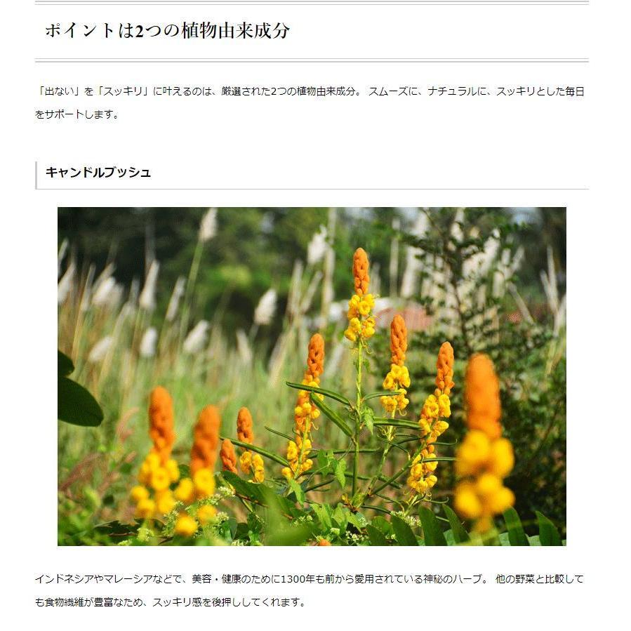 日本最大級の品揃え お一人様 1点限り お試しタイプ D D パウダー フレーバー 2 5g 10袋 ハーブサプリ キャンドルブッシュと大麦若葉をw配合 ダイエット健康食品 送料無料 Wantannas Go Id