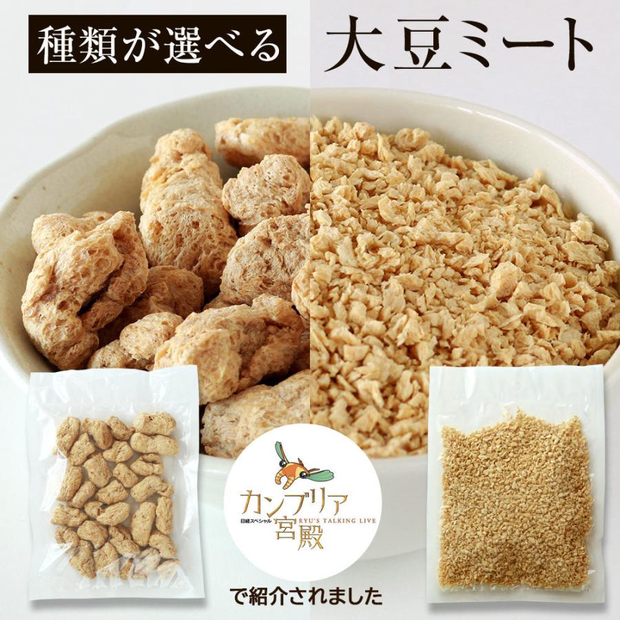 2種類から選べる大豆ミート100g 2袋 送料無料 即出荷 低カロリー 低脂肪 高たんぱく コレステロールゼロ 不二製油
