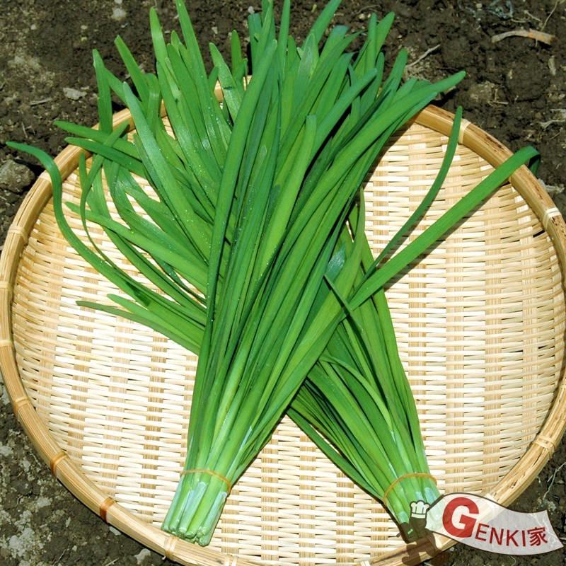 ニラ1束 佐賀七山 福岡糸島の新鮮野菜 Nira01 Genki家 通販 Yahoo ショッピング