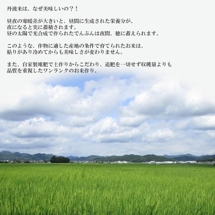 米 10kg 送料無料 精米選択可能 農薬7.5割減 1等米 あきだわら 玄米10kg 産年：令和5年 産地：丹波篠山産 生産者：田渕信也｜genmaiya-tarui｜05