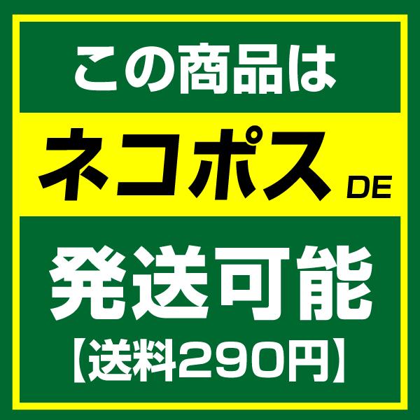 USB3.1Type-C to DisplayPort Adpter (Type-Cオス → DisplayPortメス変換コネクタ)｜geno｜02