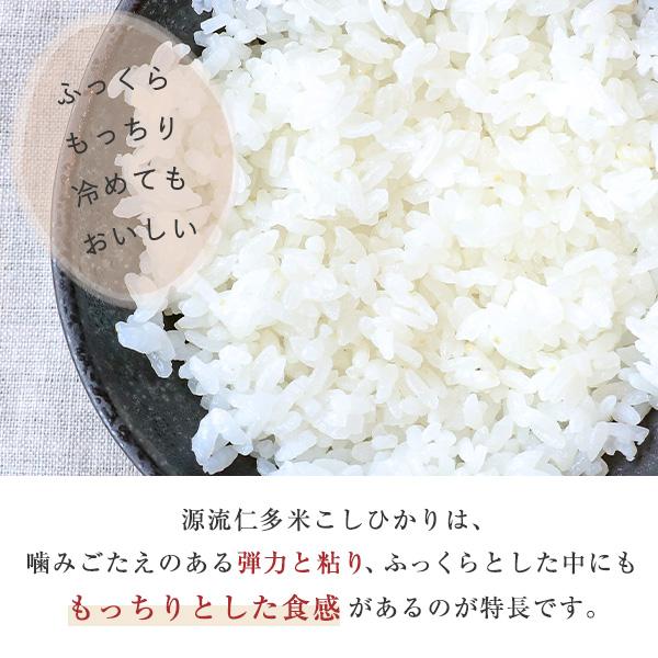 コシヒカリ 令和7年産 源流 仁多米 5kg 10kg 島根産 産地直送 送料無料