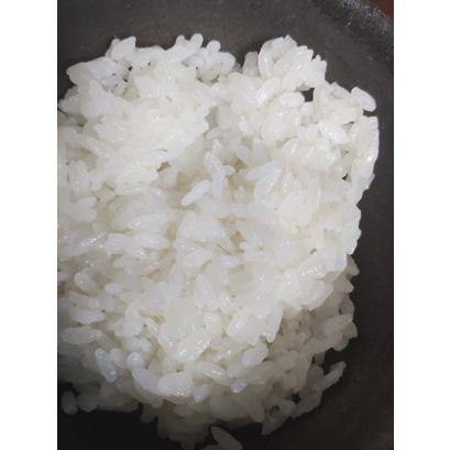 ひとめぼれ 令和7年産 福島県産 玄米30kg(精米無料) 送料無料 ※玄米