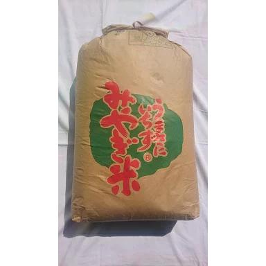 登米産お試し価格中 令和7年産 宮城県登米産 だて正夢 玄米30kg(精米