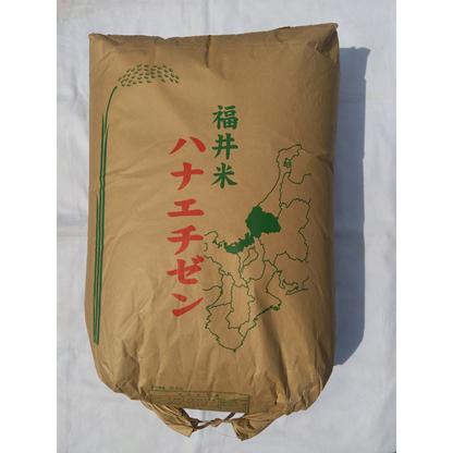 ハナエチゼン 【令和7年産 新米 大粒米】福井県 玄米30kg(精米無料