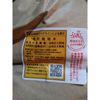 みやこがねもち 令和7年産 宮城県 減農薬 みやこがね もち米 10kg