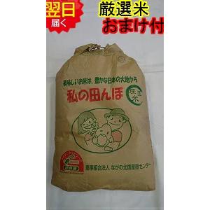 ミルキークイーン 令和7年産 長野県産 信濃町 玄米 30kg(精米無料