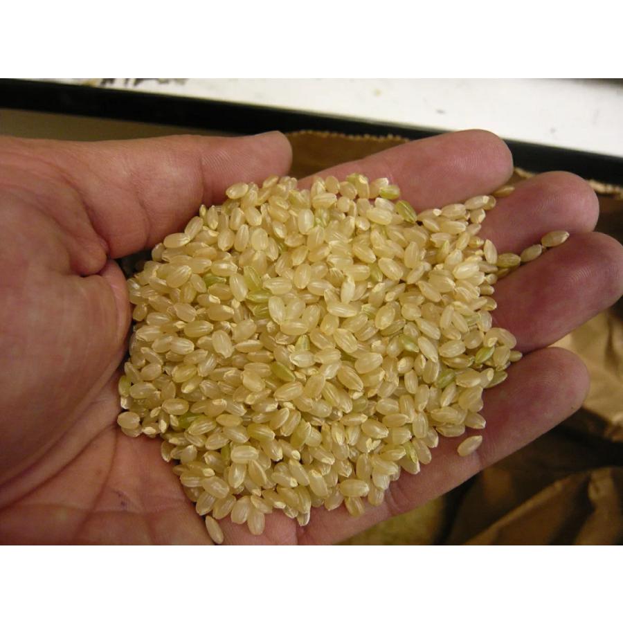 ミルキークイーン 令和7年産 長野県産 信濃町 玄米 30kg(精米無料