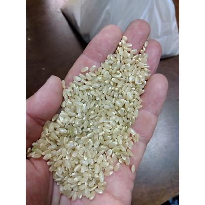 令和6年産 新米】静岡県産 地域厳選 にこまる 玄米30kg(精米 令和6年産 新米】静岡県産 地域厳選 にこまる 玄米30kg(精米