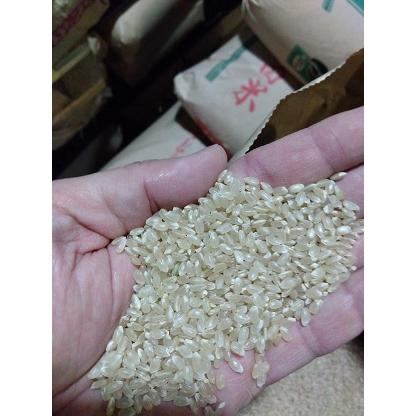 令和7年産 秋田県産 サキホコレ 減農薬米 白米または玄米10kg 送料