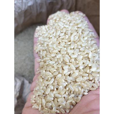 【令和５年産　新米】秋田県産　サキホコレ　減農薬米　白米または玄米5kg　送料無料　※北海道、沖縄はプラス送料かかります。｜gensenmaihonpo｜03