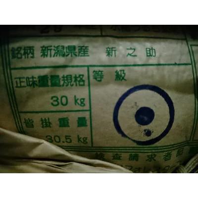 新之助 【令和6年産 新米】新潟県長岡産 新之助 減農薬米 玄米 新之助 【令和6年産 新米】新潟県長岡産 新之助 減農薬米 玄米