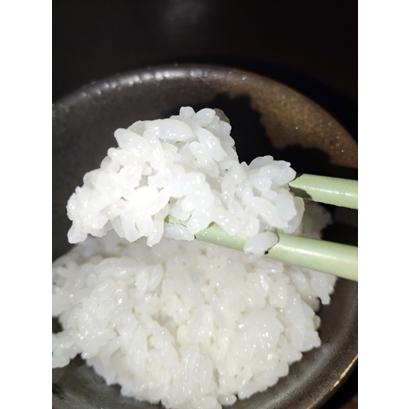 新之助（しんのすけ） 令和7年産 新潟県 特別栽培 減農薬米 玄米 30kg