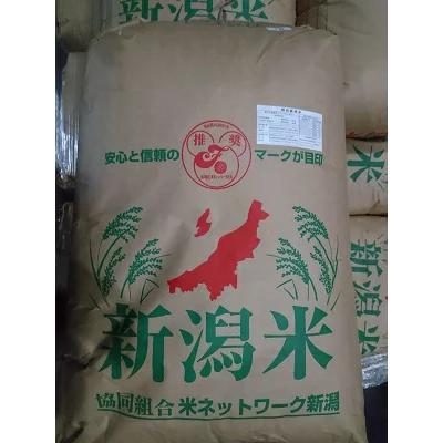 新之助（しんのすけ） 令和7年産 新潟県長岡産 減農薬米 白米または
