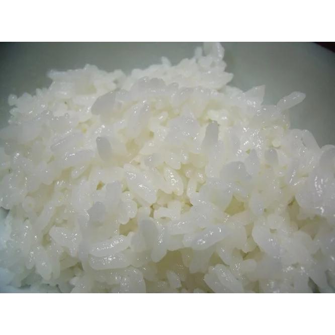コシヒカリ 令和7年産 茨城県 減農薬 うまかっぺ米 白米または玄米