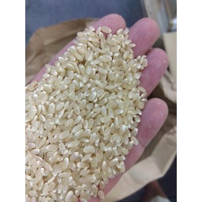 令和7年産 静岡県産 ゆうだい21 10kg (5kg2個) 白米または玄米 
