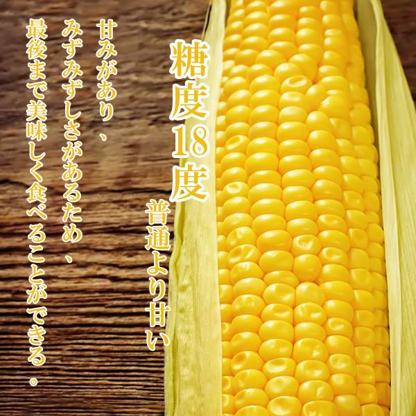 とうもろこし 真空パック 2本セット(約540g) 糖度18 ダイエット 玉米