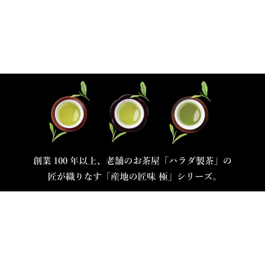 鹿児島茶 お茶 緑茶 茶葉 産地の匠味 鹿児島茶 極 70g [M便 1/3]【リニューアルに伴い茶葉を一新しました】 | ハラダ製茶 | 02
