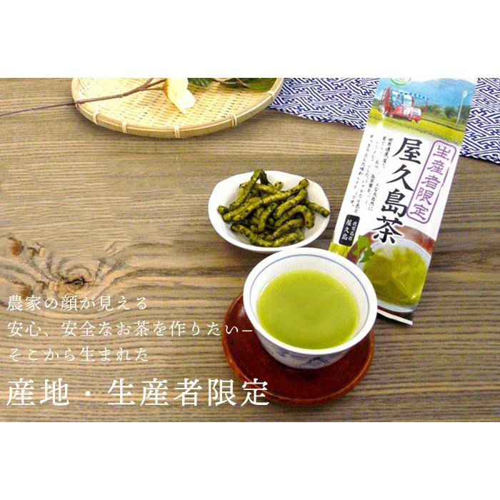 お茶 屋久島茶 鹿児島 生産者限定 屋久島茶 [M便 1/4]【2026年3月頃販売終了】 | ハラダ製茶 | 02